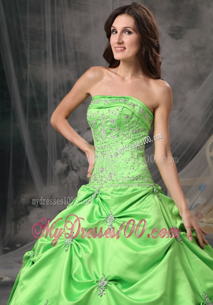 Green Nice Zipper-up Back Sweet 16 Dresses with Pick-ups and Appliques