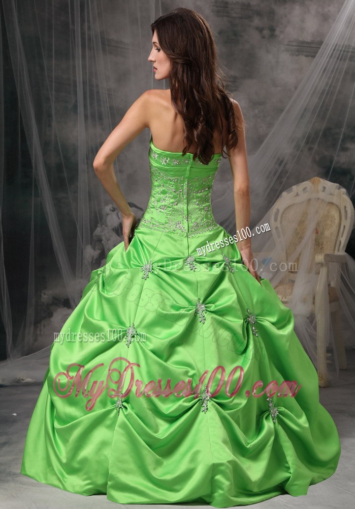 Green Nice Zipper-up Back Sweet 16 Dresses with Pick-ups and Appliques