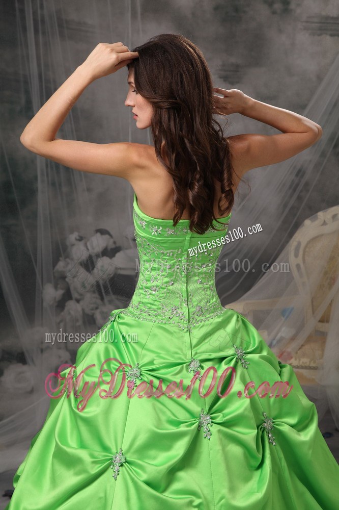 Green Nice Zipper-up Back Sweet 16 Dresses with Pick-ups and Appliques