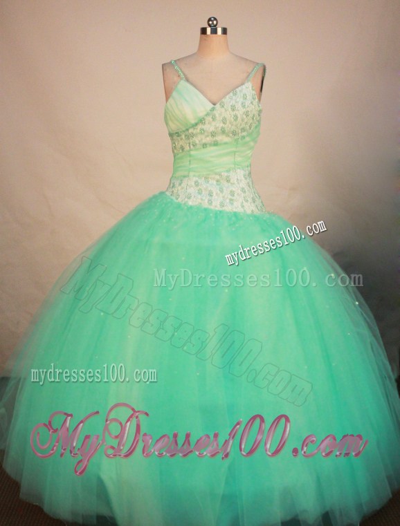Straps Sweetheart Beading Decorate Organza Sweet 16 Dresses in Apple Green