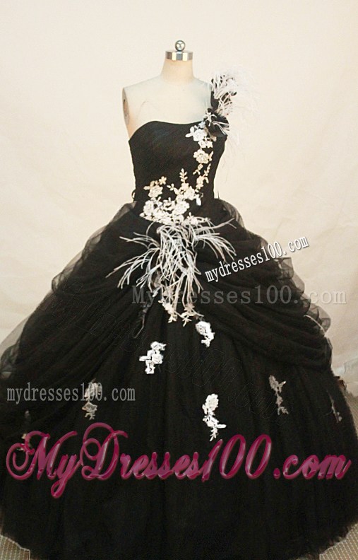 2013 Gorgeous Feather One Shoulder Appliques Quinceanera Dress