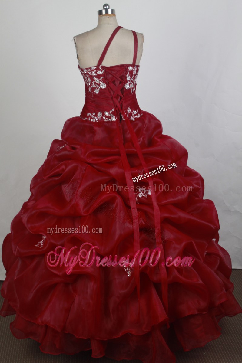 Asymmetrical Appliqued Wine Red Organza Dresses 16 with Pick-ups