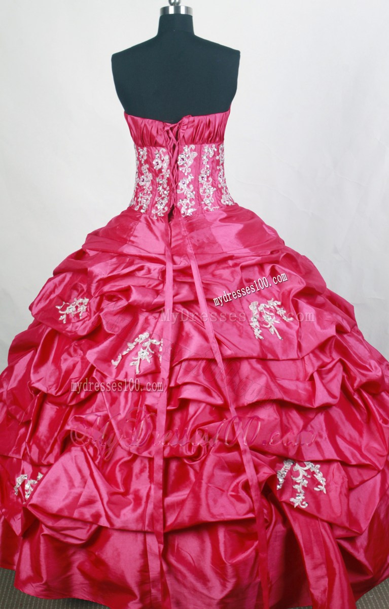 Exquisite Appliqued Hot Pink Ball Gown Dresses 16 with Pick-ups
