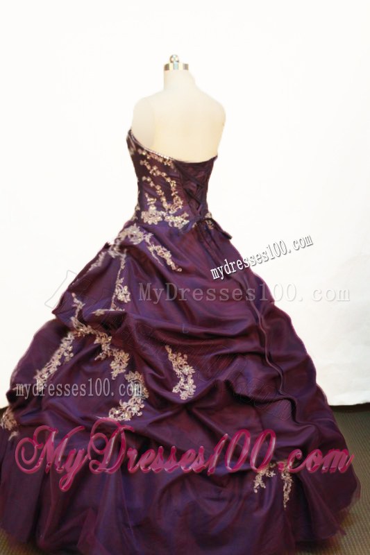Beautiful Eggplant Purple Quinceanera Party Dress Appliques Pick-ups
