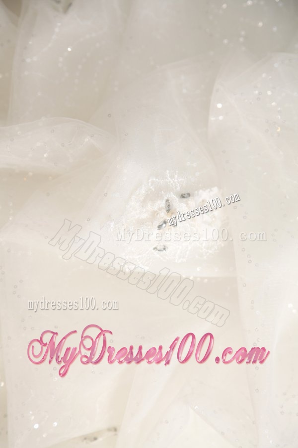Strapless Ball Gown Appliques and Pick-ups Long Wedding Dress
