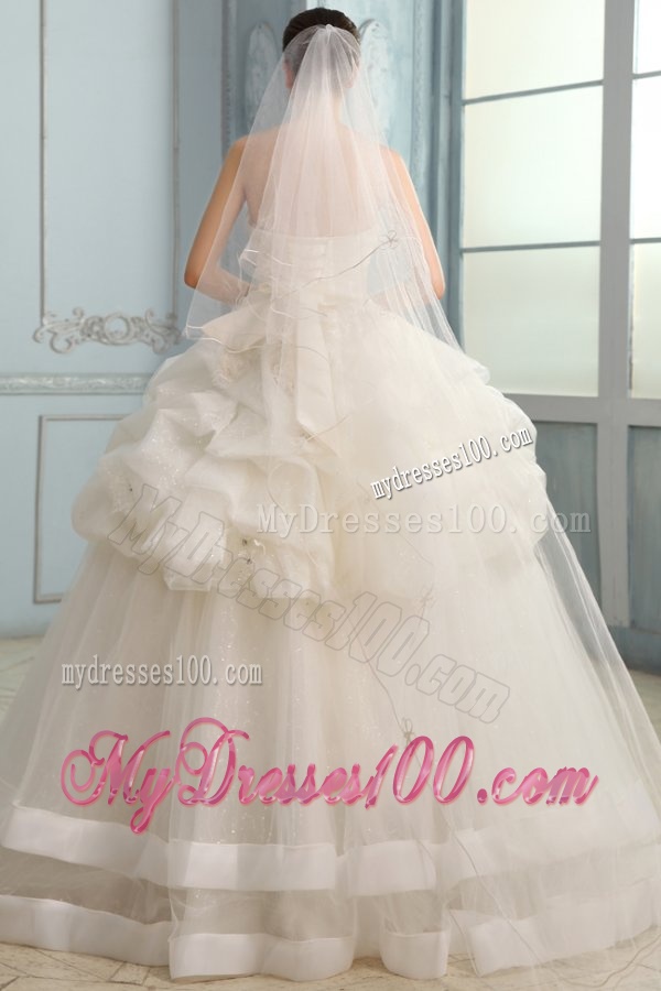 Strapless Ball Gown Appliques and Pick-ups Long Wedding Dress