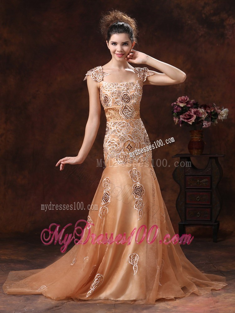 Elegant Embroidery Square 2013 Prom Evening Dress in Brown