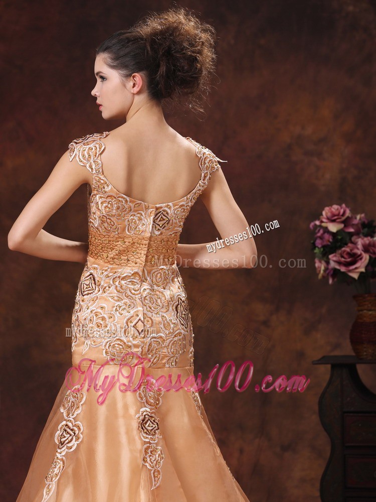 Elegant Embroidery Square 2013 Prom Evening Dress in Brown