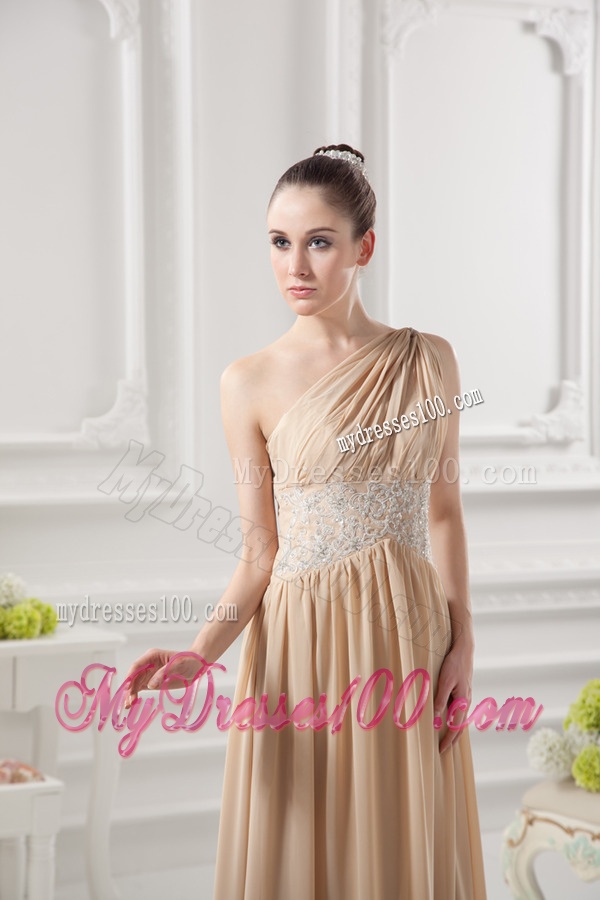 One Shoulder Ruching and Appliques Chiffon Evening Dress