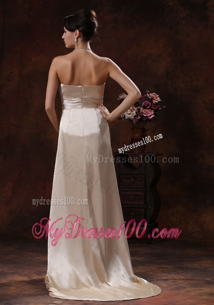Strapless Champagne Brush Train Zipper Up Back Prom Party Dress with Ruffles