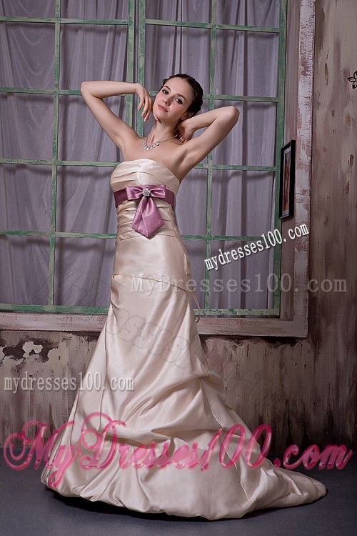 Bowknot Sash and Brush Train Decorate Champagne Prom Gown