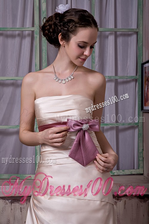Bowknot Sash and Brush Train Decorate Champagne Prom Gown