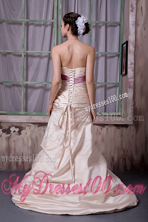Bowknot Sash and Brush Train Decorate Champagne Prom Gown