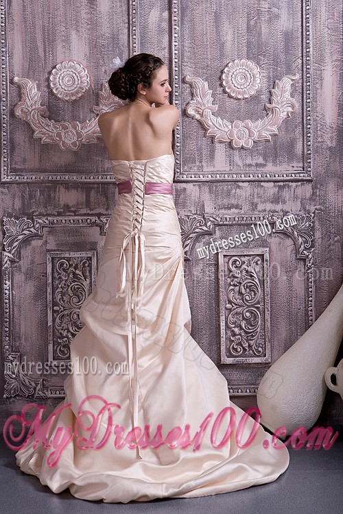 Champagne Prom Dress of Strapless and Lace-up Back