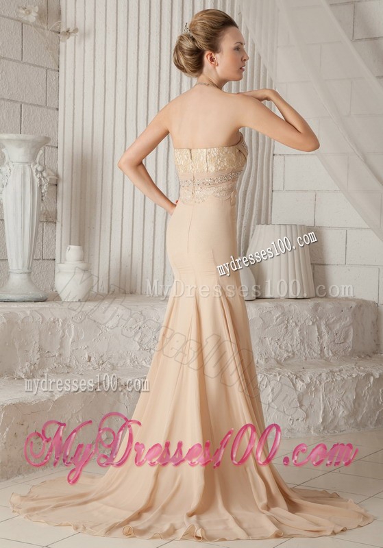 Champagne Brush Train Chiffon Zipper Up Mermaid Prom Dresses