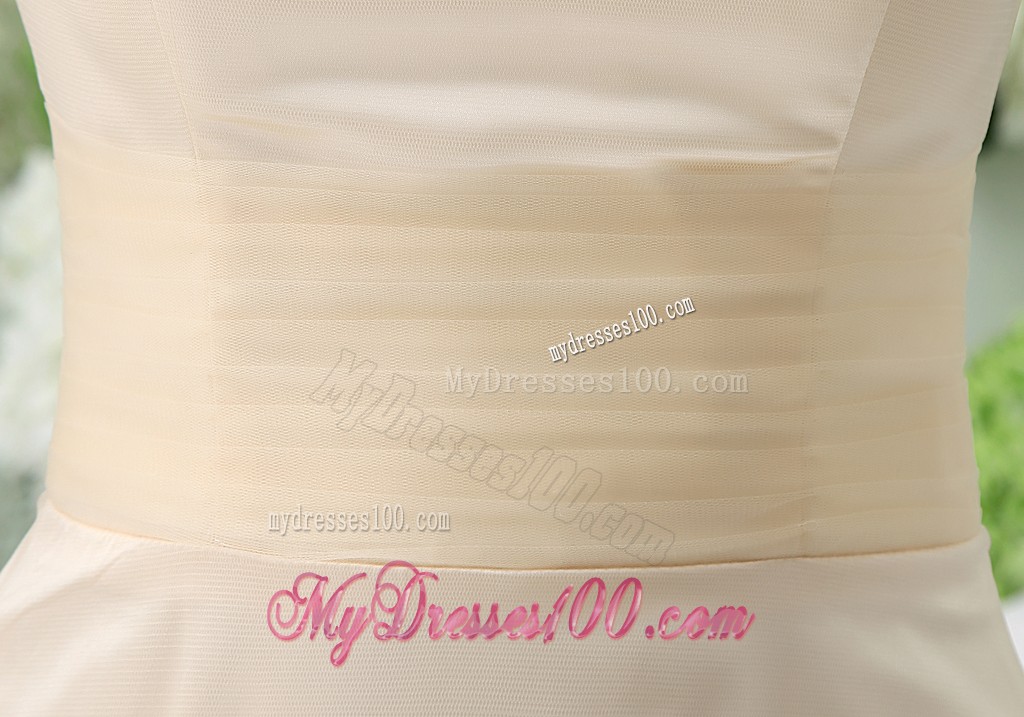 2013 Summer Popular V-neck Short Champagne Cocktail Dress