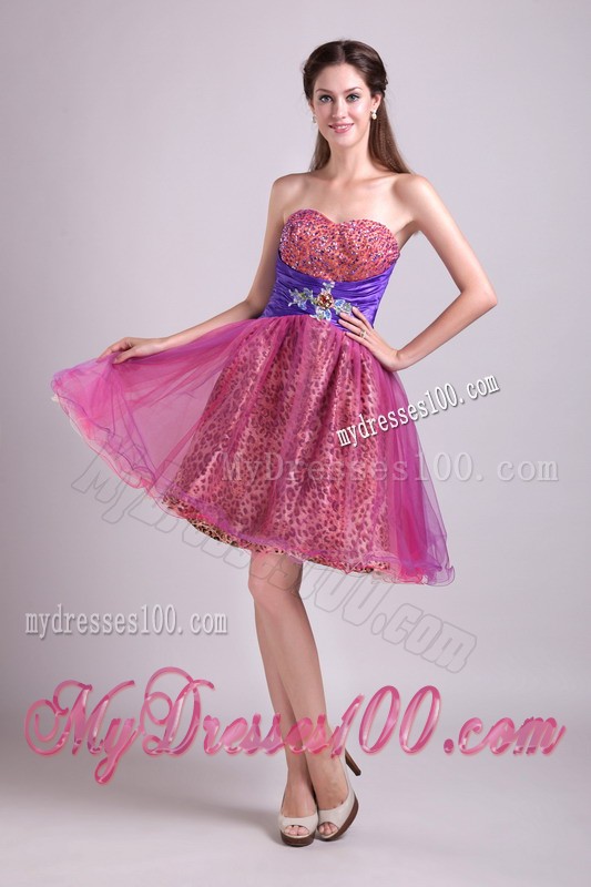Fuchsia Sweetheart Short Leopard Beading Prom Cocktail Dress