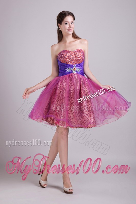 Fuchsia Sweetheart Short Leopard Beading Prom Cocktail Dress