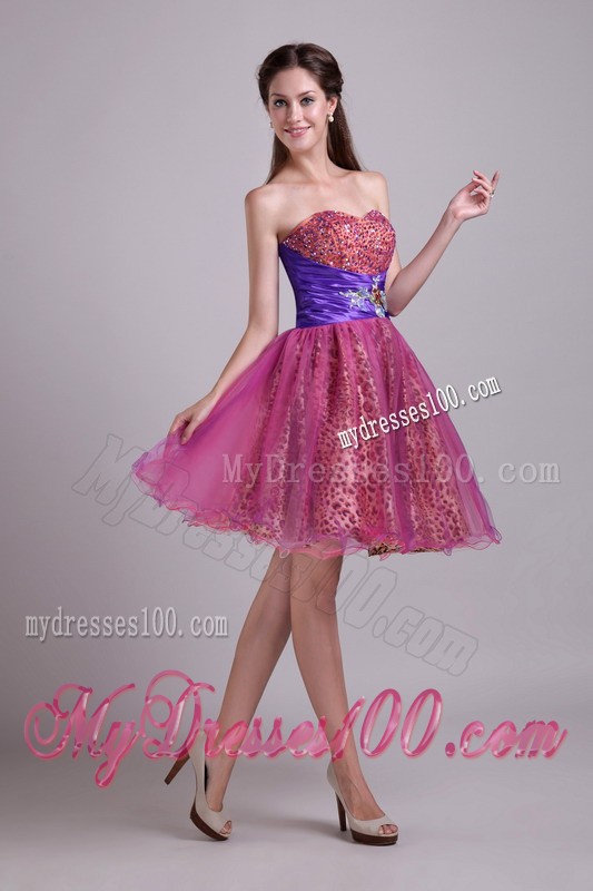 Fuchsia Sweetheart Short Leopard Beading Prom Cocktail Dress