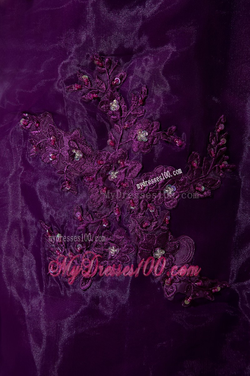Purple Scoop Brush Train Appliques and Beading Mother Bride Dress