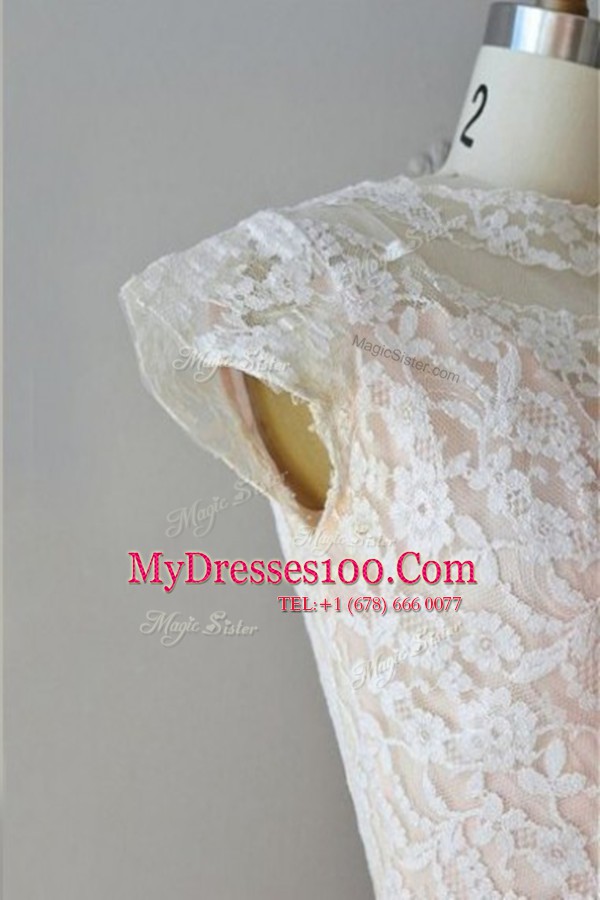 Attractive Tulle Bateau Cap Sleeves Zipper Lace Prom Evening Gown in Pink
