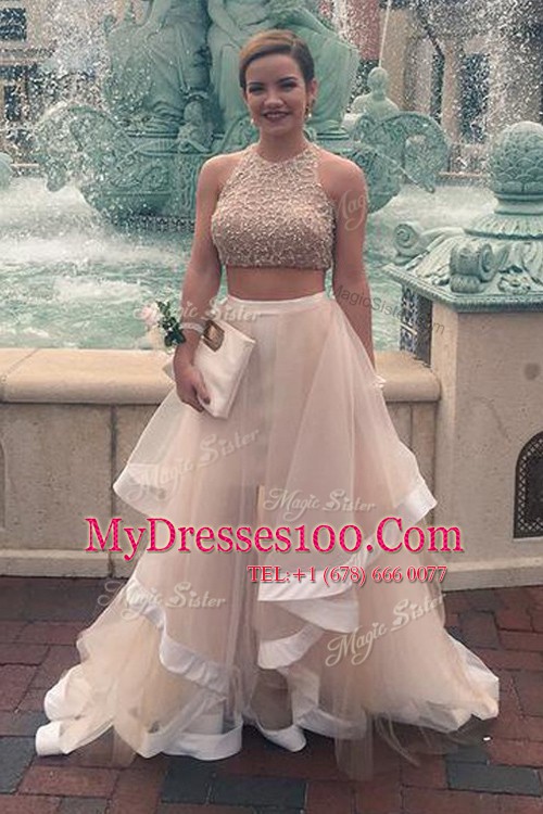 Champagne A-line Scoop Sleeveless Tulle Floor Length Zipper Sequins Homecoming Dress