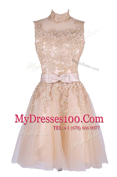 Gorgeous Champagne Tulle Zipper Evening Wear Sleeveless Knee Length Appliques