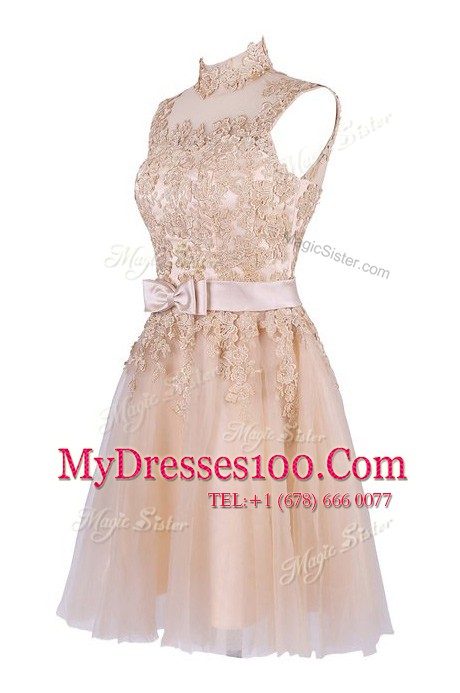 Gorgeous Champagne Tulle Zipper Evening Wear Sleeveless Knee Length Appliques