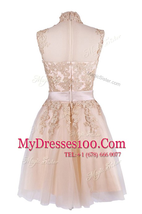 Gorgeous Champagne Tulle Zipper Evening Wear Sleeveless Knee Length Appliques