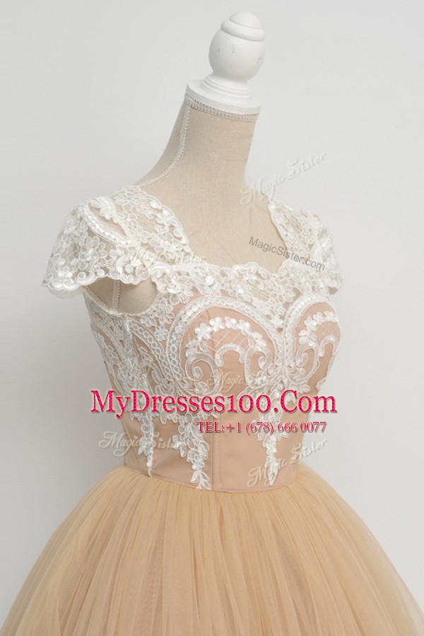 Tulle Scoop Cap Sleeves Zipper Lace Cocktail Dress in Champagne