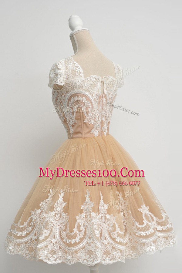 Tulle Scoop Cap Sleeves Zipper Lace Cocktail Dress in Champagne