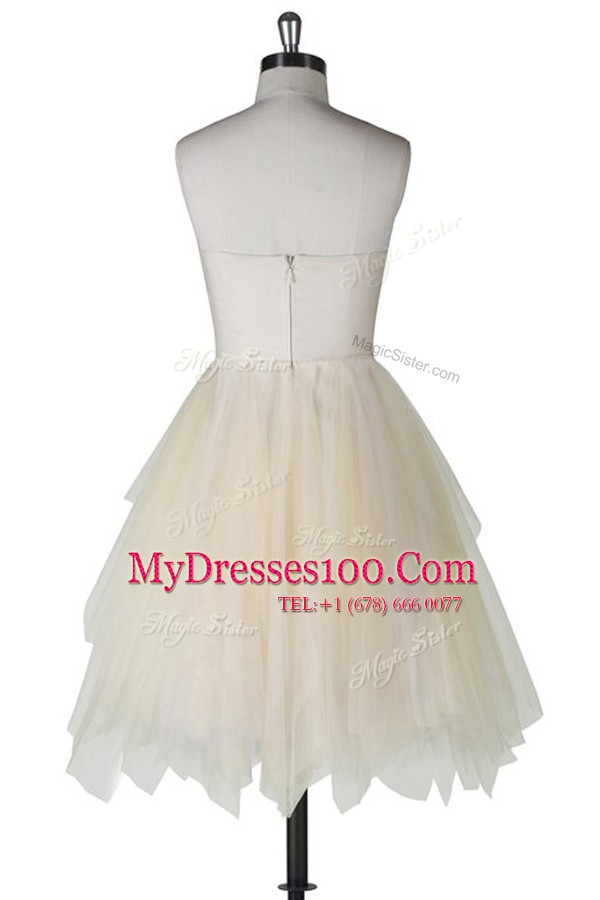 Champagne Tulle Zipper Strapless Sleeveless Knee Length Casual Dresses Appliques