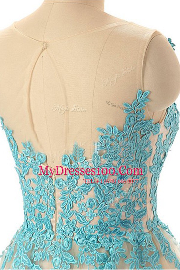 Champagne Tulle Zipper Going Out Dresses Sleeveless Mini Length Appliques