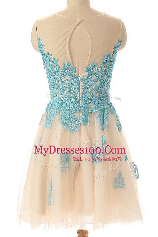 Champagne Tulle Zipper Going Out Dresses Sleeveless Mini Length Appliques