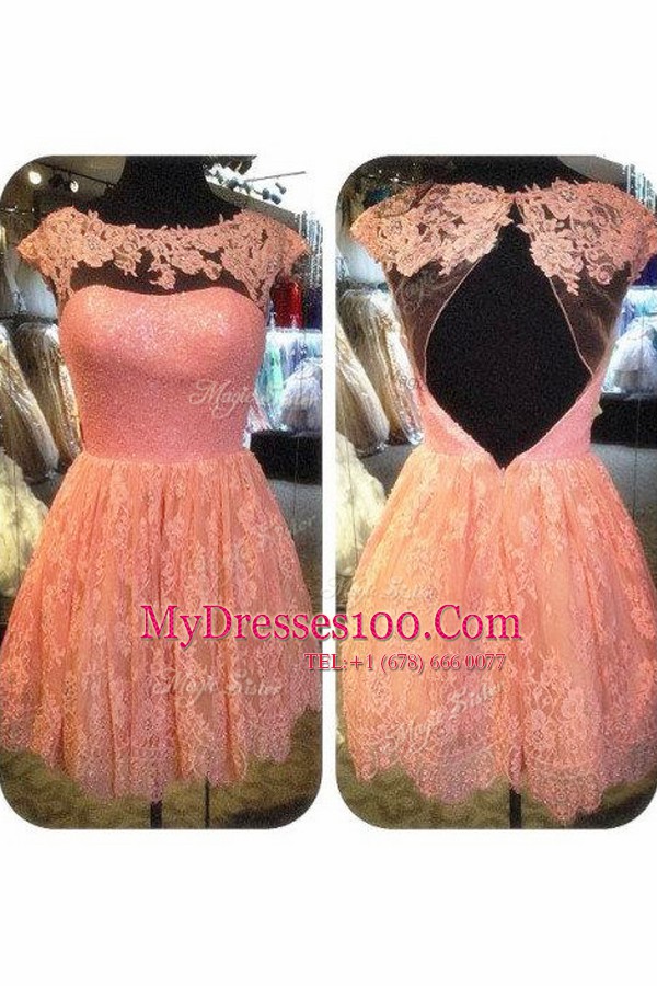 Lace Knee Length Baby Pink Juniors Party Dress Scoop Cap Sleeves Backless