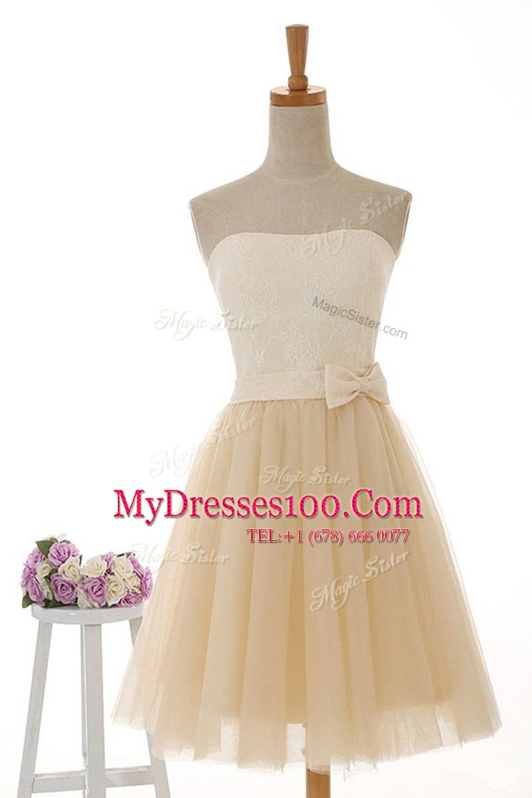 Lace Evening Dresses Champagne Zipper Sleeveless Knee Length