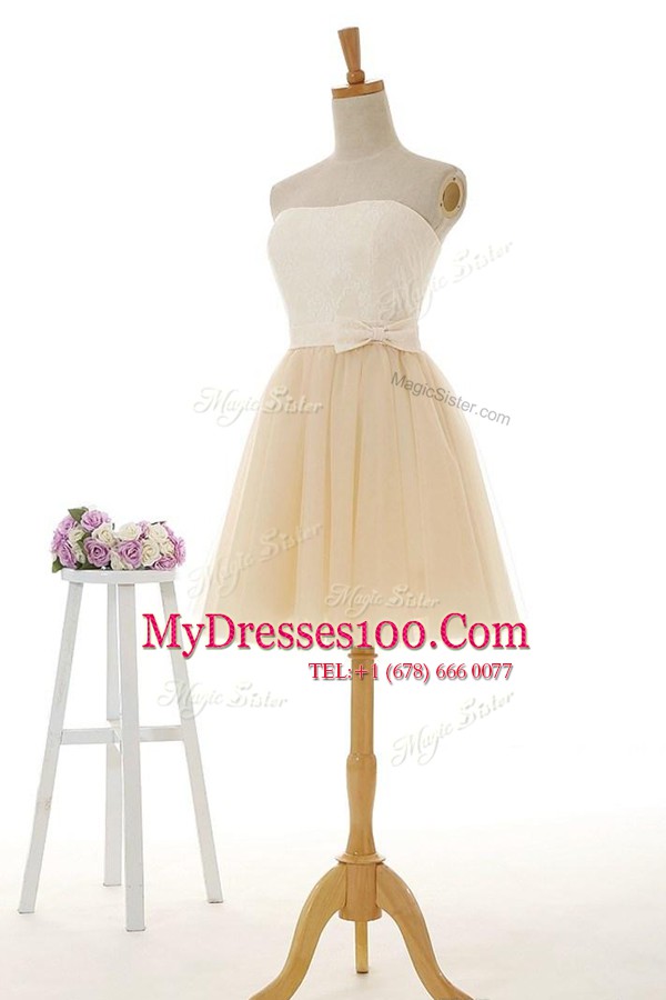 Lace Evening Dresses Champagne Zipper Sleeveless Knee Length