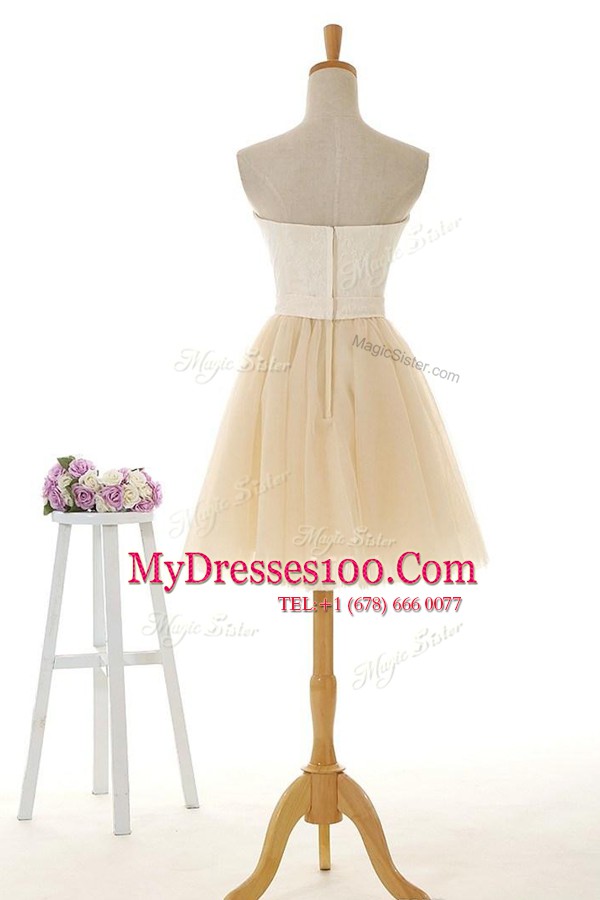 Lace Evening Dresses Champagne Zipper Sleeveless Knee Length