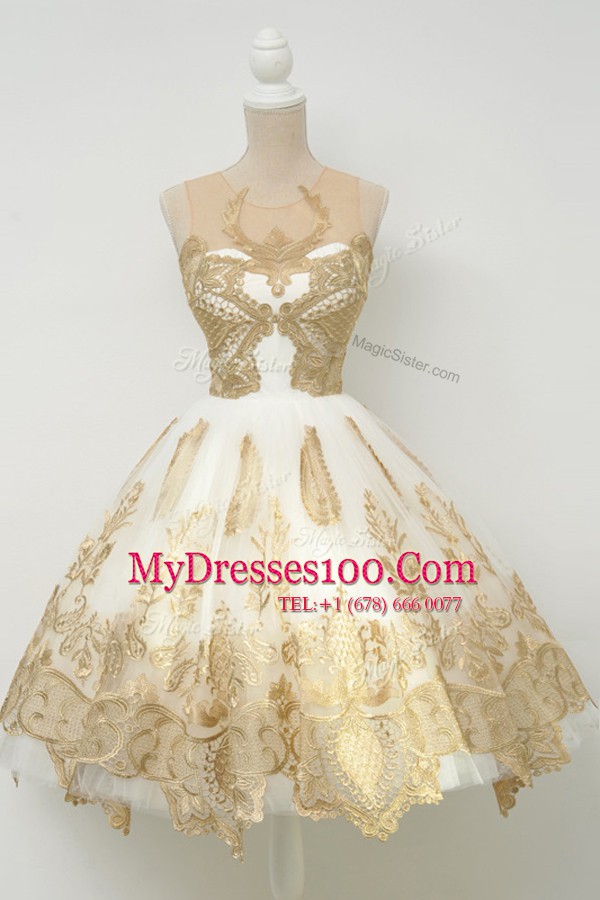 Fashionable Scoop Champagne A-line Lace and Appliques Evening Party Dresses Zipper Tulle Sleeveless Knee Length