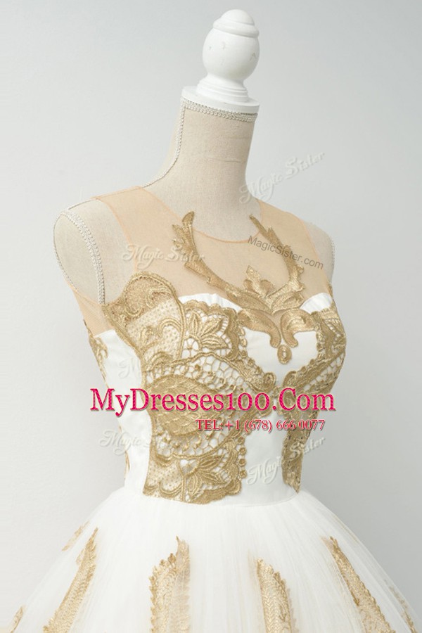 Fashionable Scoop Champagne A-line Lace and Appliques Evening Party Dresses Zipper Tulle Sleeveless Knee Length