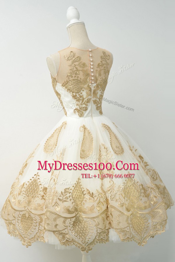 Fashionable Scoop Champagne A-line Lace and Appliques Evening Party Dresses Zipper Tulle Sleeveless Knee Length