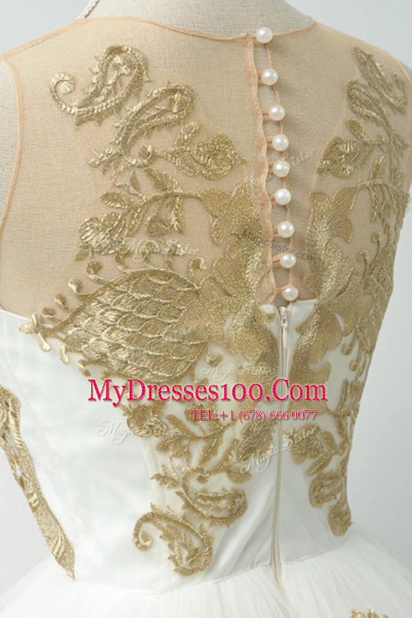 Fashionable Scoop Champagne A-line Lace and Appliques Evening Party Dresses Zipper Tulle Sleeveless Knee Length