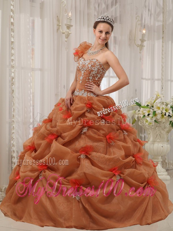 Rust Red Ball Gown One-shoulder Floor-length Organza Appliques Quinceanera Dress