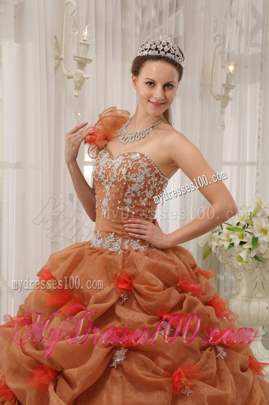 Flowery One-shoulder Rust Red Organza Pick-ups Appliques Sweet 15 Dresses