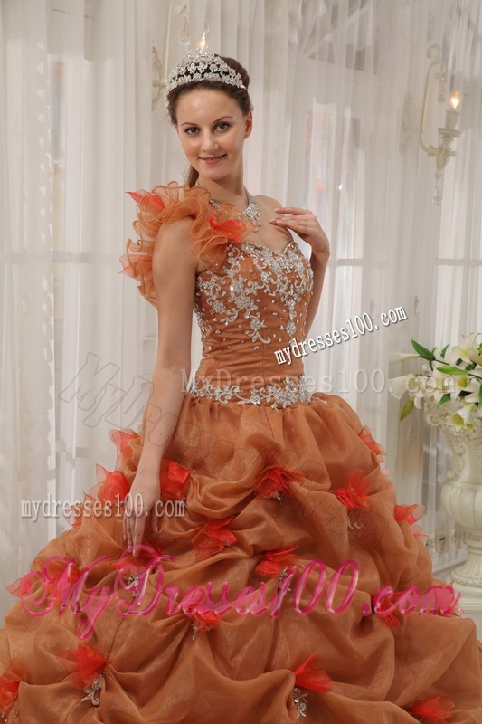 Rust Red Ball Gown One-shoulder Floor-length Organza Appliques Quinceanera Dress