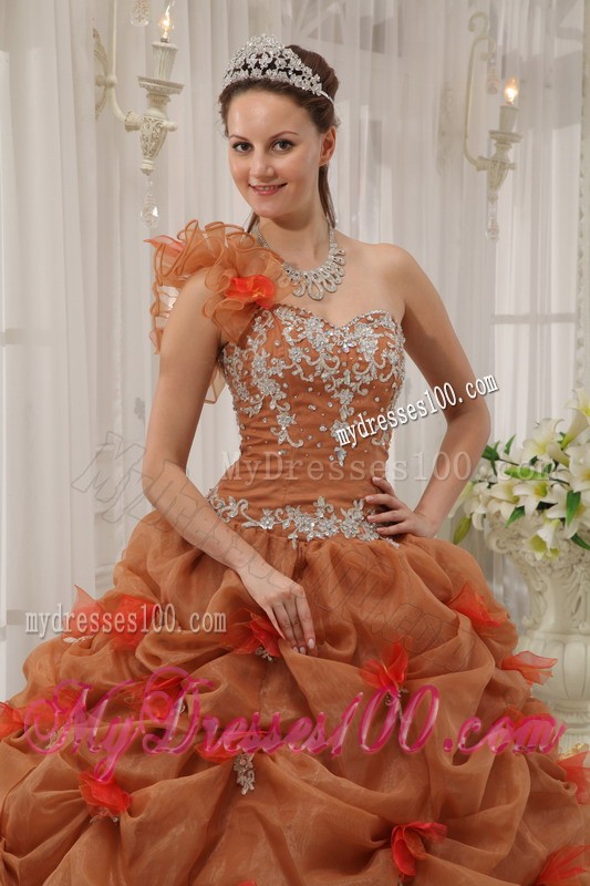 Rust Red Ball Gown One-shoulder Floor-length Organza Appliques Quinceanera Dress