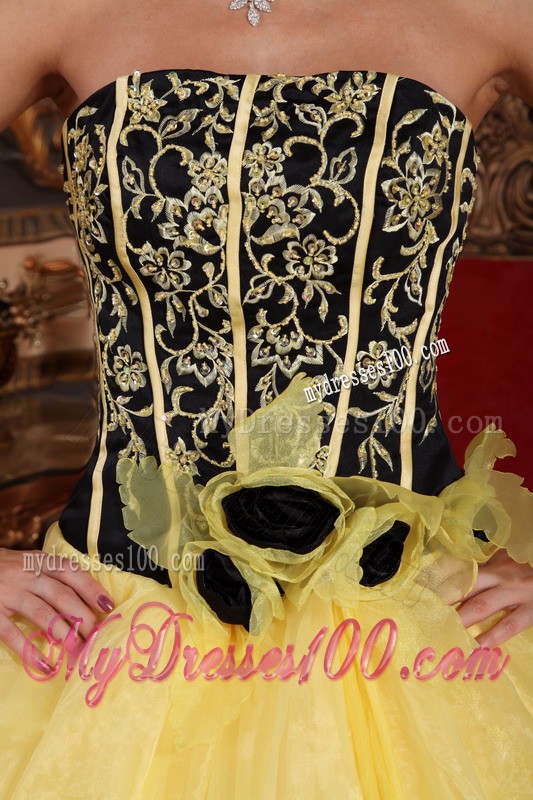 Lovely Yellow and Black Strapless Organza Embroidery Quinceanera Gown 2013