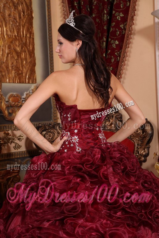 Burgundy Rolling Flowers Ball Gown Decorated with Intricate Lined Embroidery