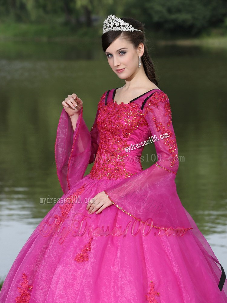 Embroidery Fuchsia Quincanera Dresses with Detachable Long Sleeves