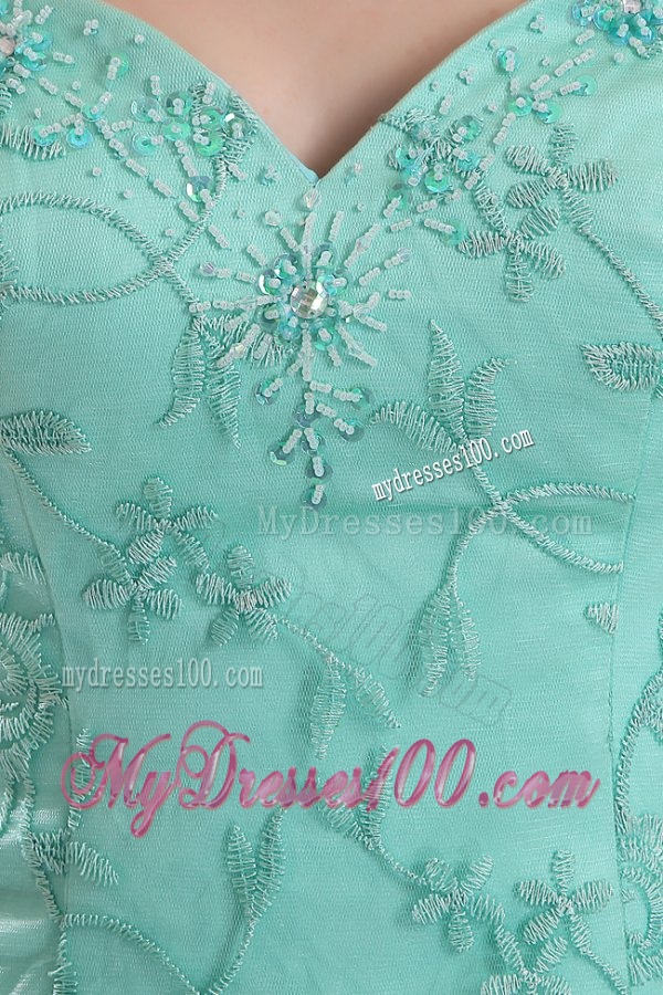 Sexy Mermaid Sweetheart Apple Green Embroidery Tulle Evening Dress with Brush Train